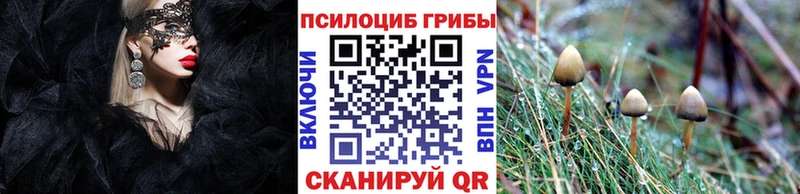 hydra   Камышин  Псилоцибиновые грибы GOLDEN TEACHER  как найти  